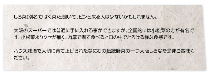 しろ菜(別名：びはく菜)と聞いて、ピンと来る人は少ないかもしれません。大阪のスーパーでは普通に手に入れる事ができますが、全国的には小松菜の方が有名です。小松菜よりクセが無く、肉厚で煮て食べると口の中でとろける様な食感です。ハウス栽培で大切に育て上げられたなにわの伝統野菜の一つ大阪しろなを是非ご賞味ください